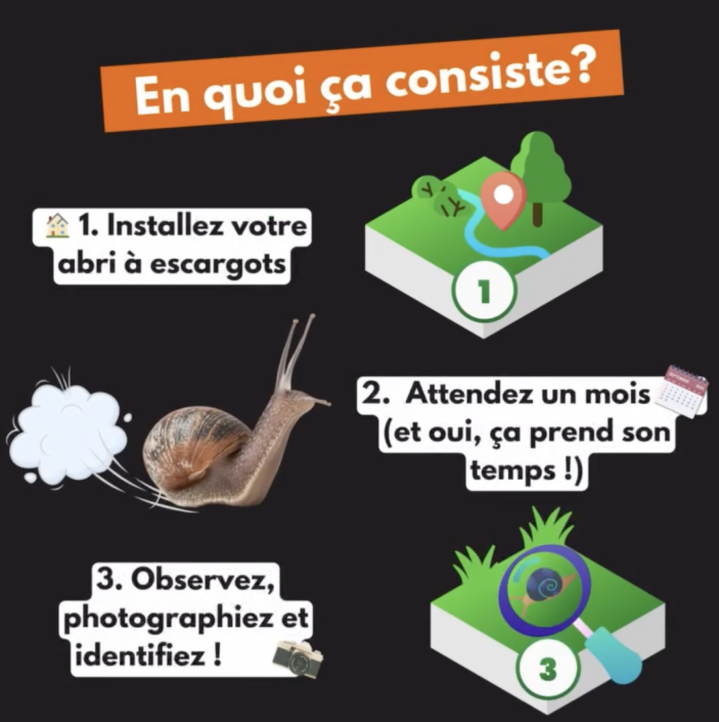 Publication réseaux sociaux  Opération escargot Noé