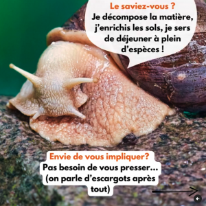 Réseaux sociaux INSTAGRAM ex3