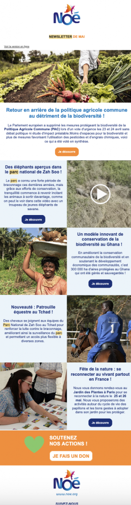 Newsletter de Noé