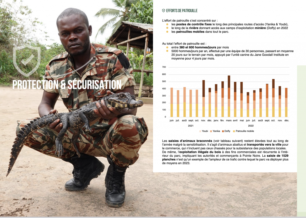 Rapport d'activité Noé mise en page ex1