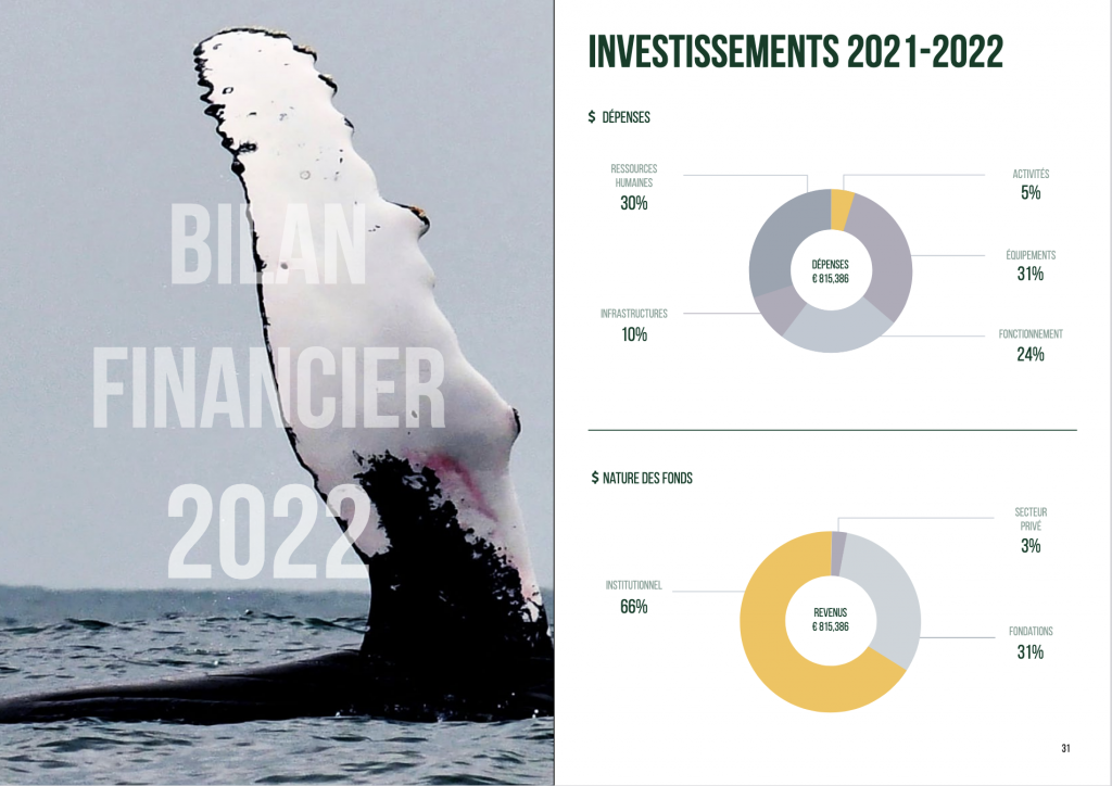RApport d'activité Noé mise en page ex2