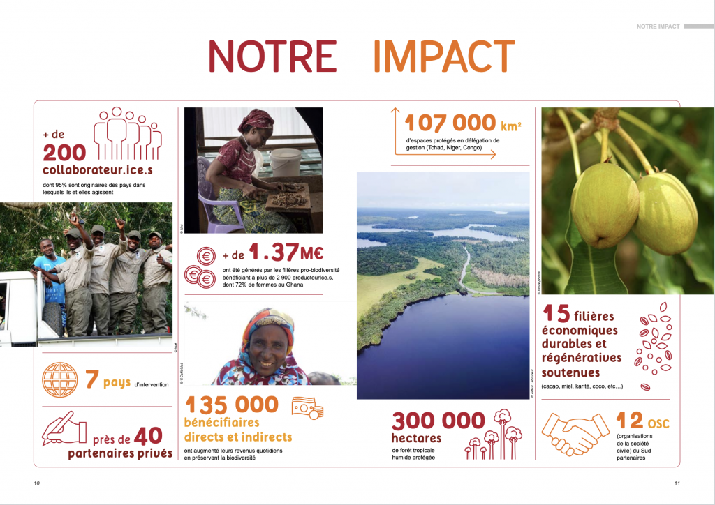 Rapport d'activité Noé mise en page ex3