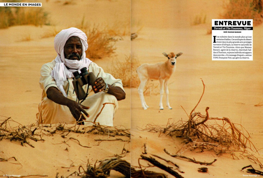 Publication sur la revue Terre Sauvage NIGER 2021