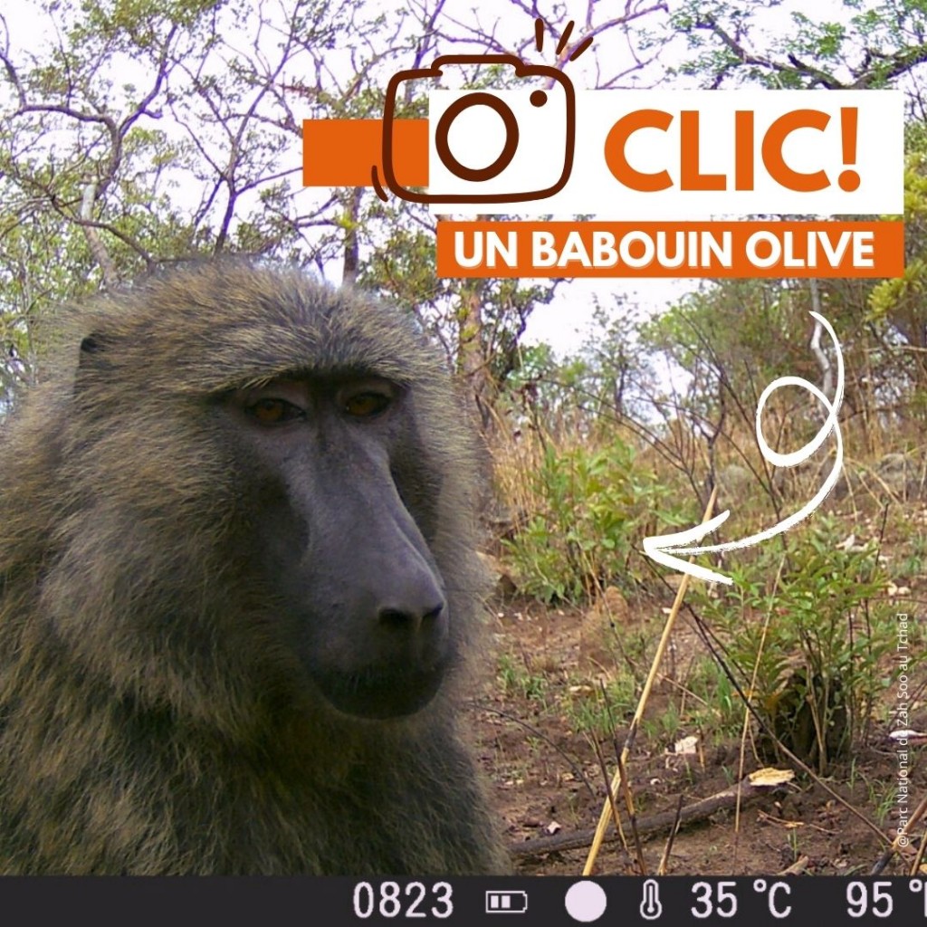 Réseaux sociaux INSTAGRAM ex2